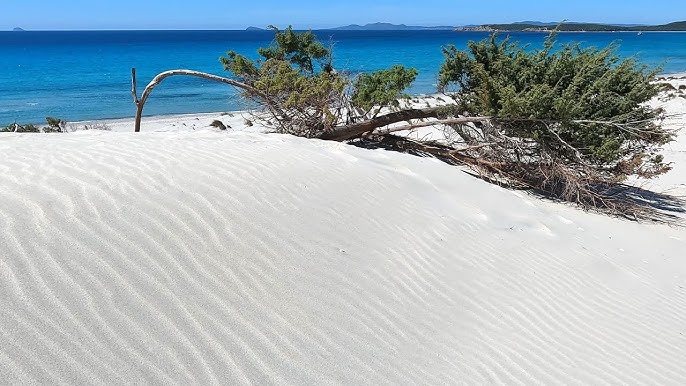 Le dune di sabbia bianca - spiaggia di Is Arenas Biancas . Teulada
