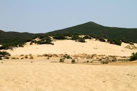 Dettaglio delle dune di sabbia di Piscinas, con forme sinuose e texture ricche