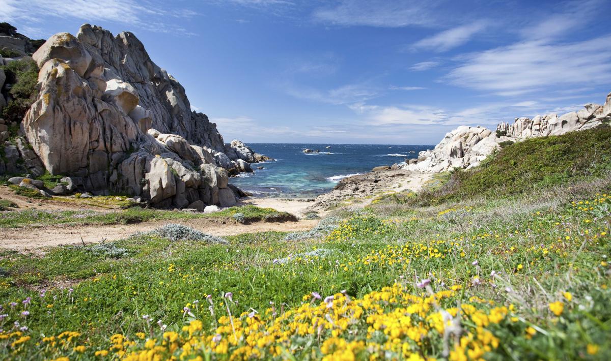 Il sentiero tra la macchia mediterranea che conduce a Cala Grande, nota come Valle della Luna